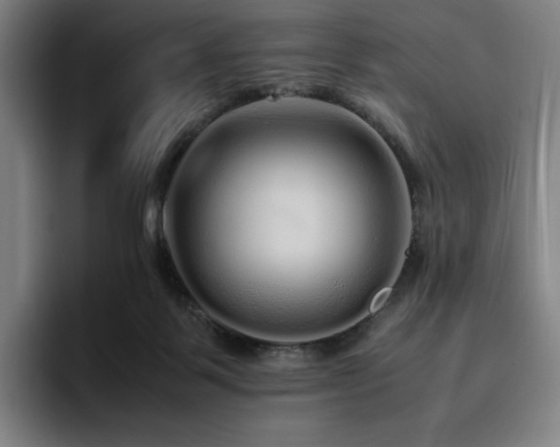 X0000094780123200711161424
