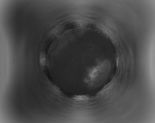 X0000094780137200711161424