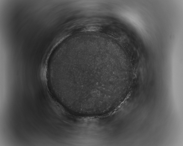 X0000094780146200711161423