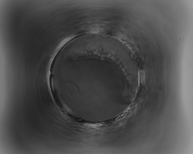 X0000094780147200711161423