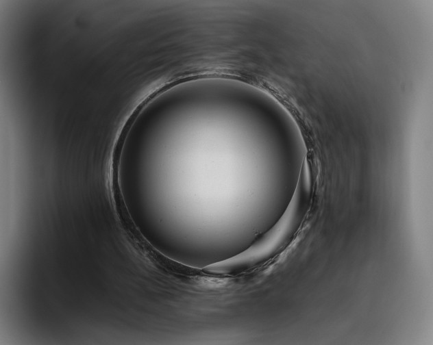 X0000094780148200711161423