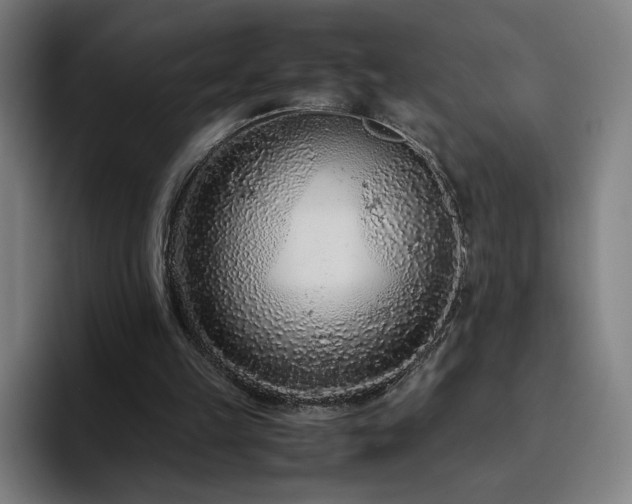 X0000094780149200711161423