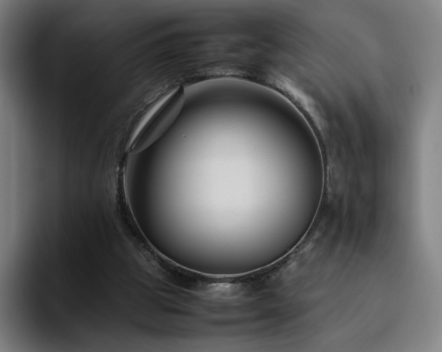 X0000094780153200711161423