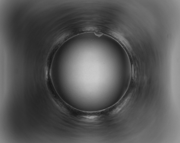 X0000094780157200711161423