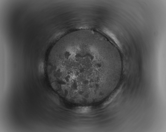 X0000094780161200711161423