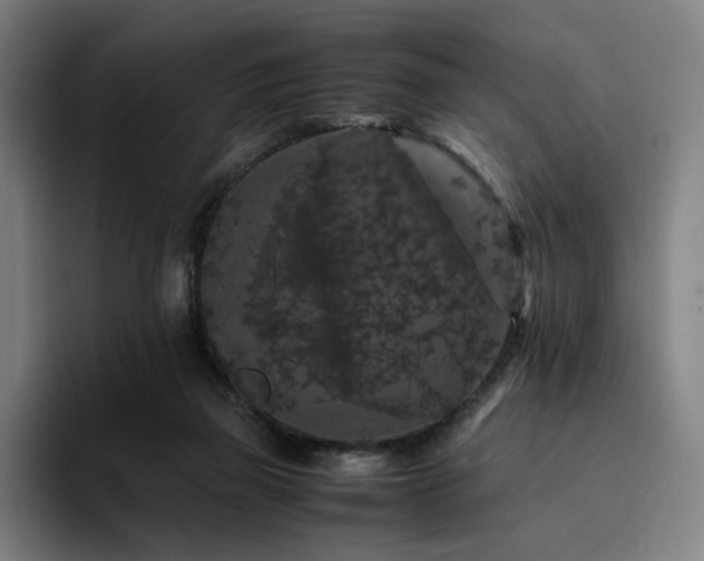 X0000094780165200711161423