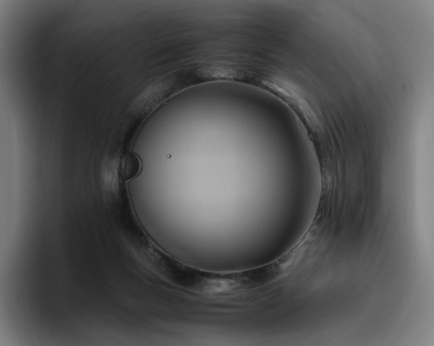 X0000094780167200711161423