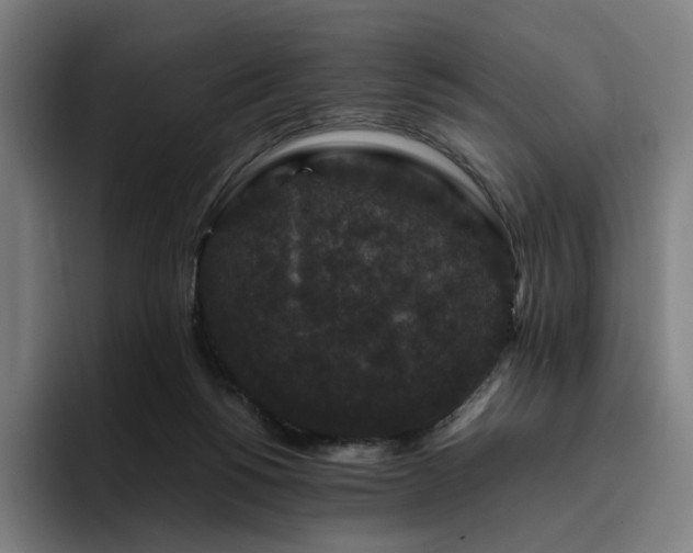 X0000094780168200711161423