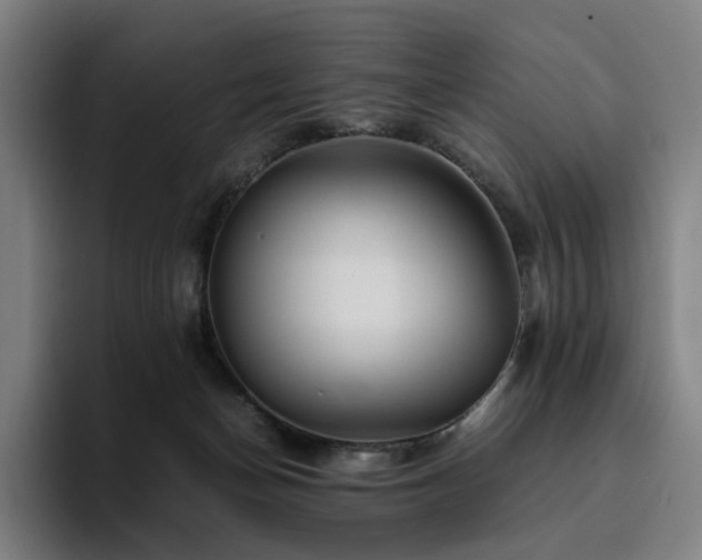 X0000094780174200711161423