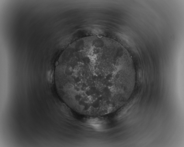 X0000094780177200711161423