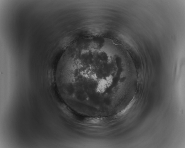 X0000094780182200711161423