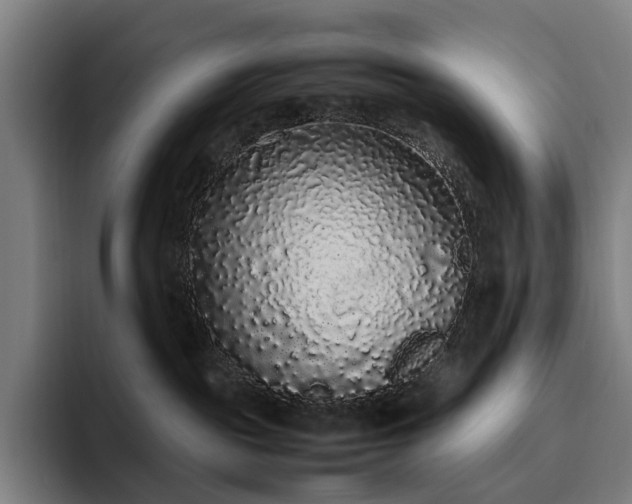 X0000094780189200711161423