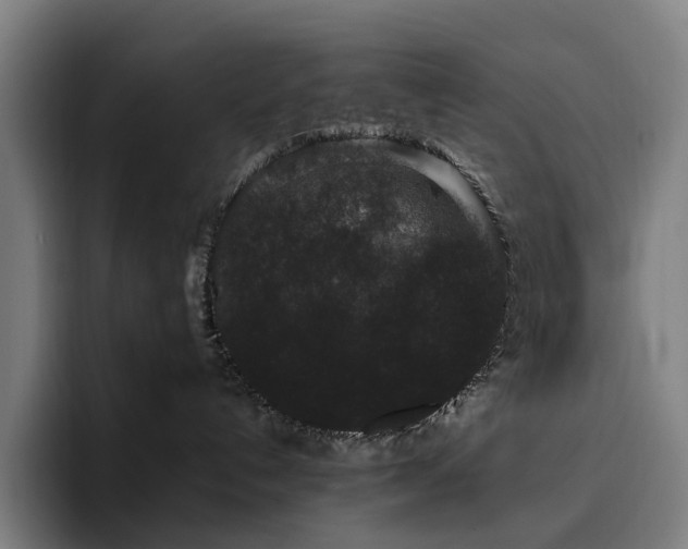 X0000094780192200711161423