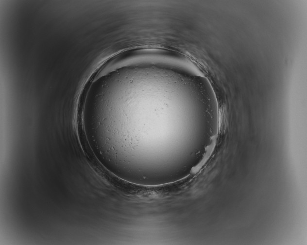 X0000094780195200711161423