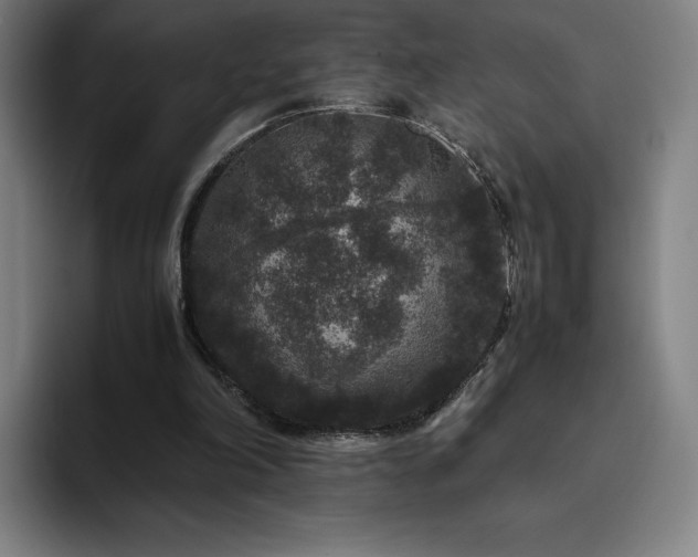 X0000094780198200711161423