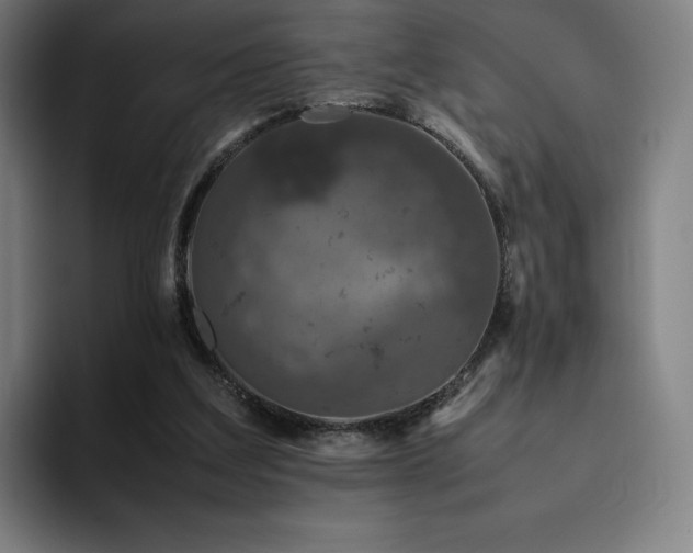 X0000094780203200711161422