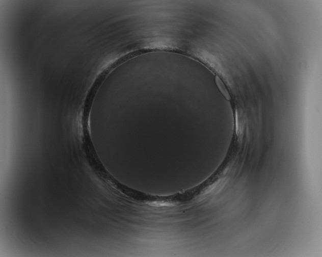 X0000094780204200711161422