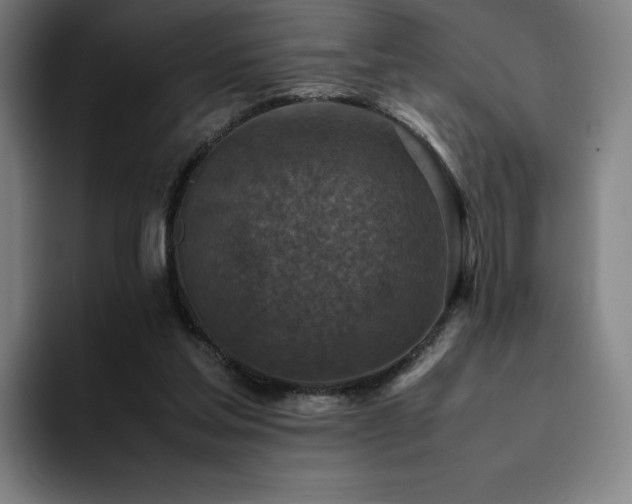 X0000094780205200711161422
