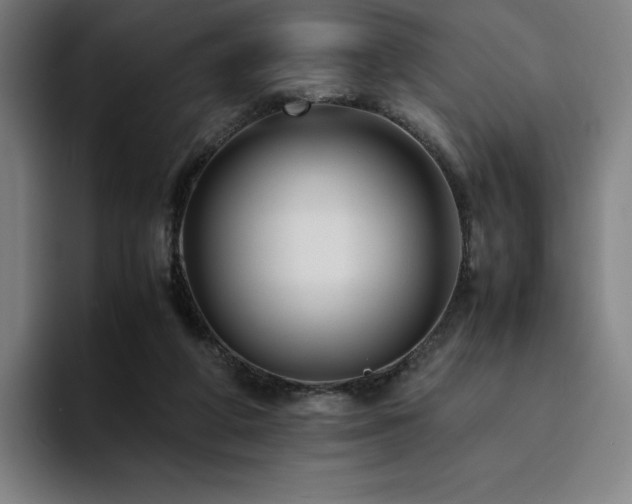 X0000094780210200711161422
