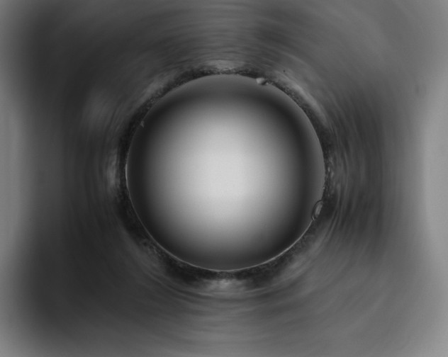 X0000094780212200711161422