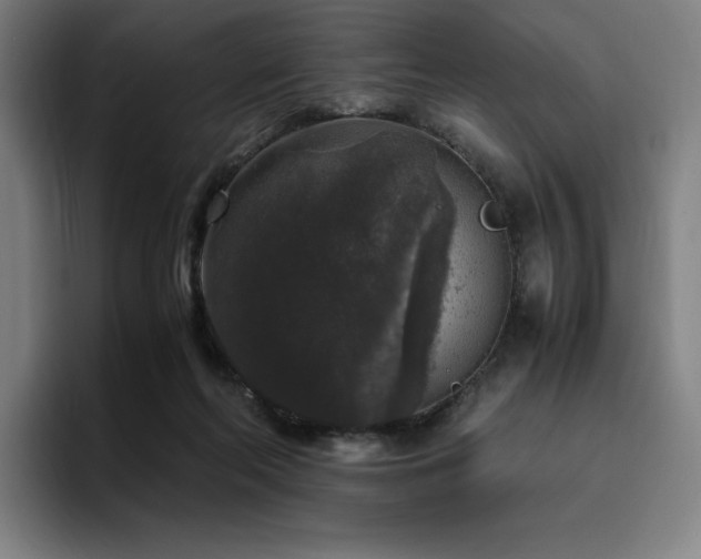 X0000094780214200711161422