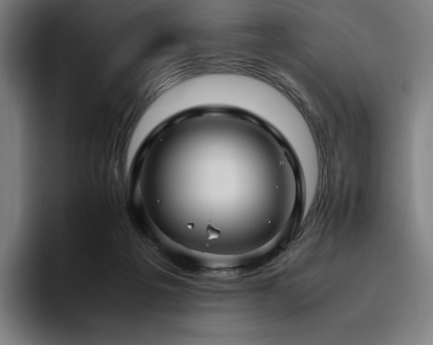 X0000094780217200711161422