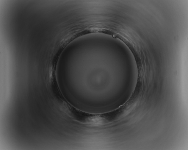 X0000094780219200711161422