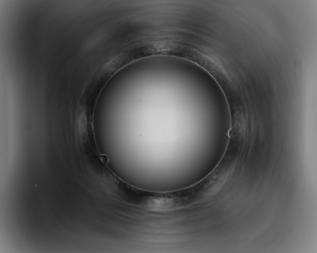 X0000094780220200711161422