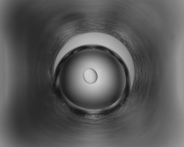 X0000094780221200711161422
