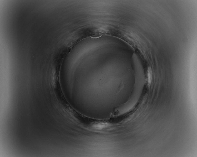 X0000094780223200711161422