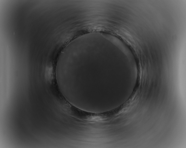 X0000094780224200711161422