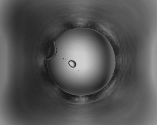 X0000094780225200711161422