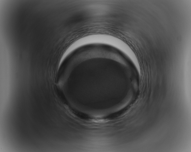 X0000094780227200711161422