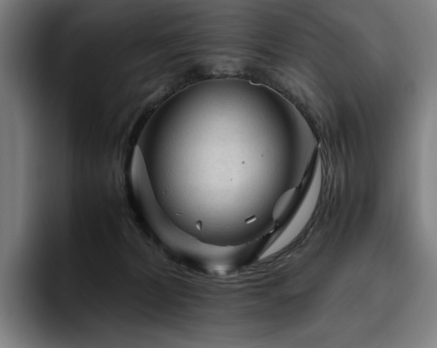 X0000094780228200711161422