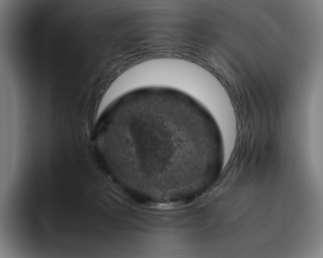 X0000094780229200711161422