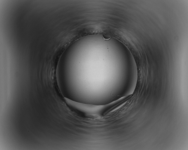 X0000094780230200711161422