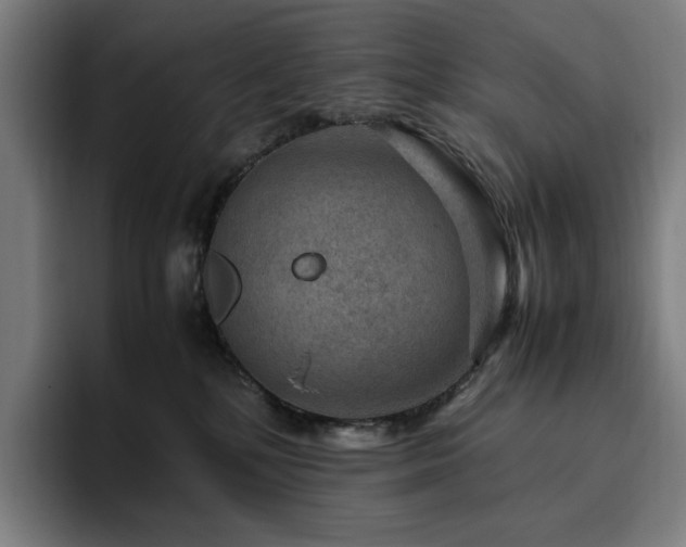 X0000094780232200711161422