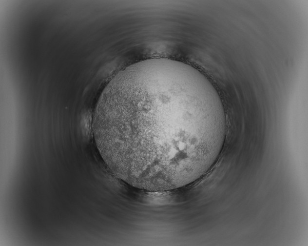X0000094780240200711161422