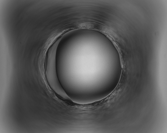 X0000094780241200711161421