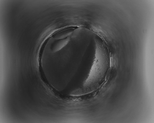 X0000094780243200711161421