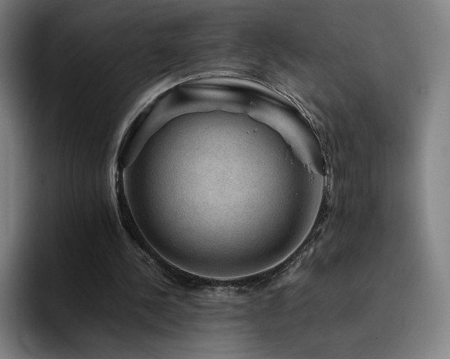 X0000094780244200711161421