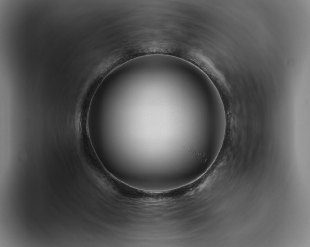X0000094780250200711161421