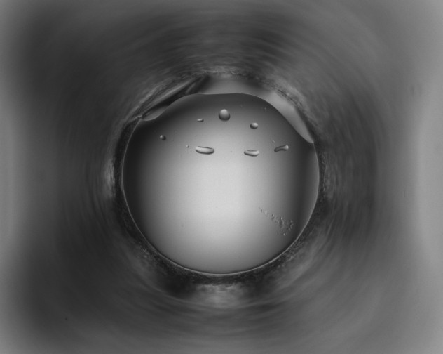 X0000094780251200711161422