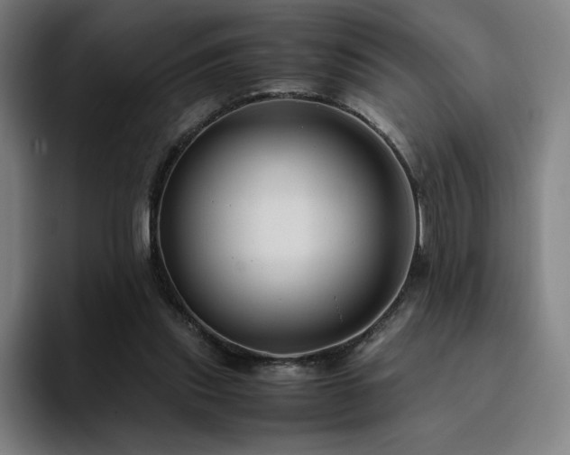 X0000094780253200711161422