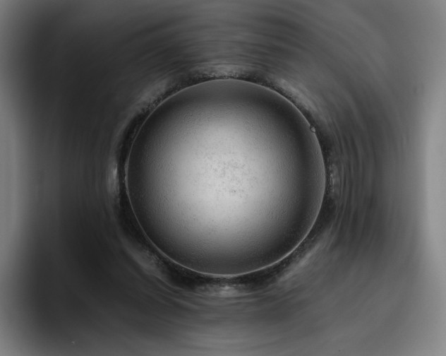 X0000094780254200711161422