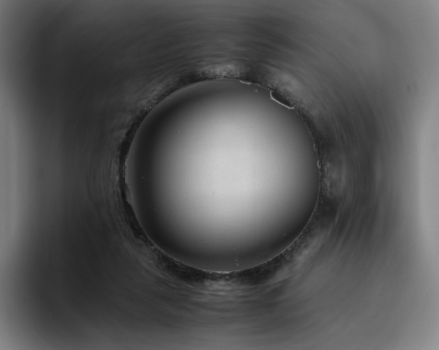 X0000094780259200711161422