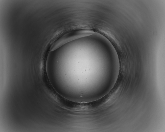 X0000094780260200711161422
