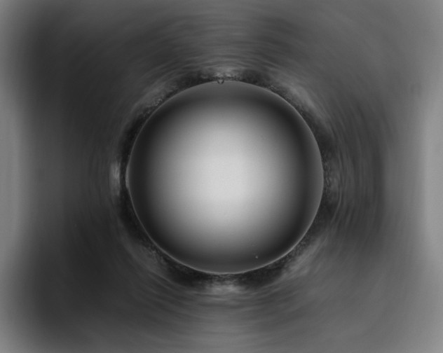 X0000094780262200711161422