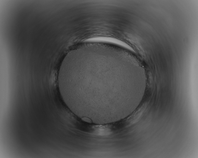 X0000094780273200711161422