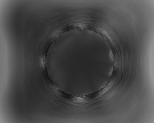 X0000094780285200711161422